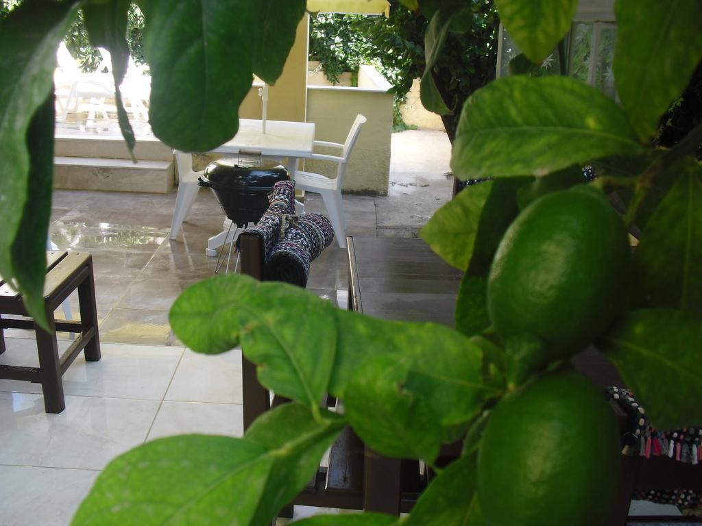 Gaby Apartment كوشاداسيه المظهر الخارجي الصورة